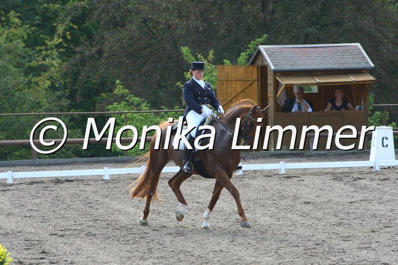 109M6851_Weyden_Intermediaire I_DressS.JPG